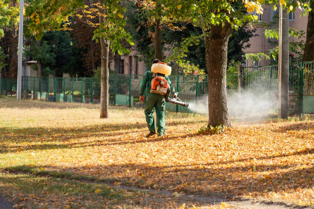 Best Pest Control Treatment  in Emerald Bay, TX